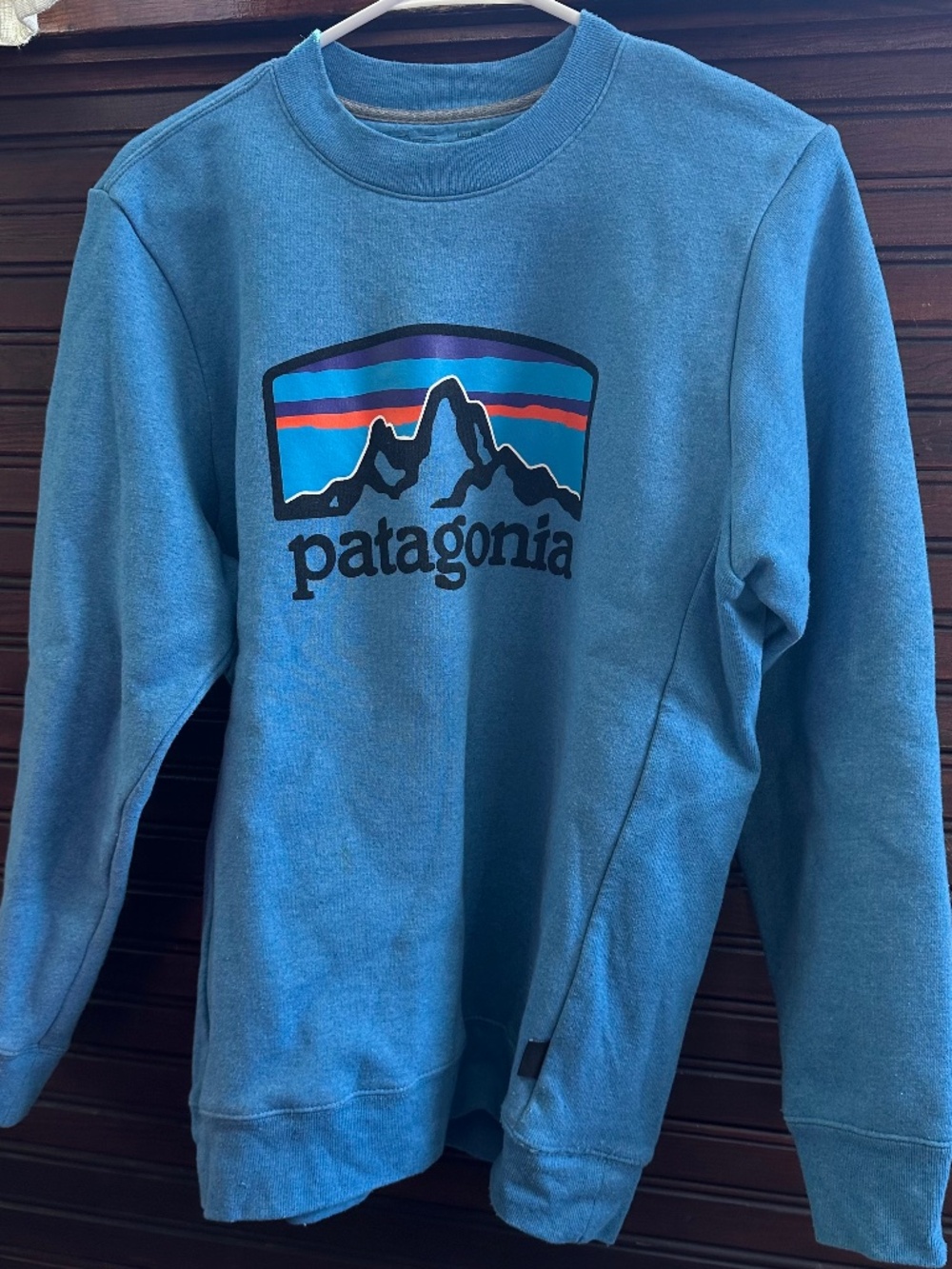Patagonia Crewneck